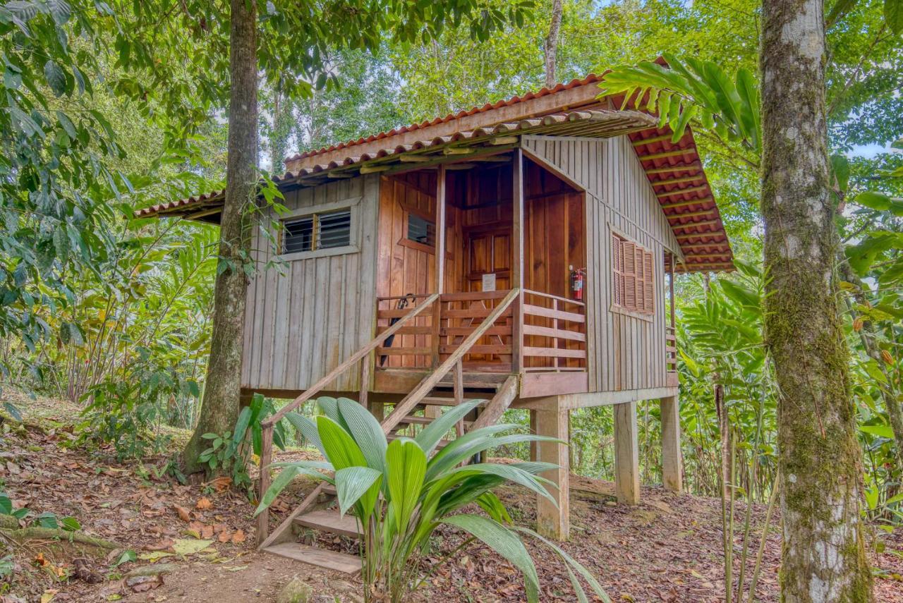 Selva Bananito Lodge Westfalia ภายนอก รูปภาพ