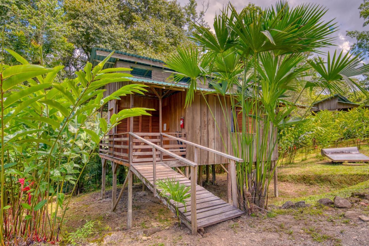 Selva Bananito Lodge Westfalia ภายนอก รูปภาพ