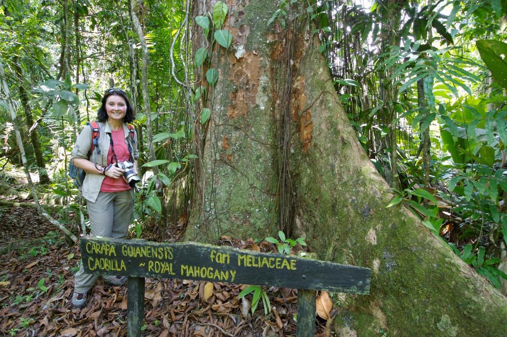 Selva Bananito Lodge Westfalia ภายนอก รูปภาพ