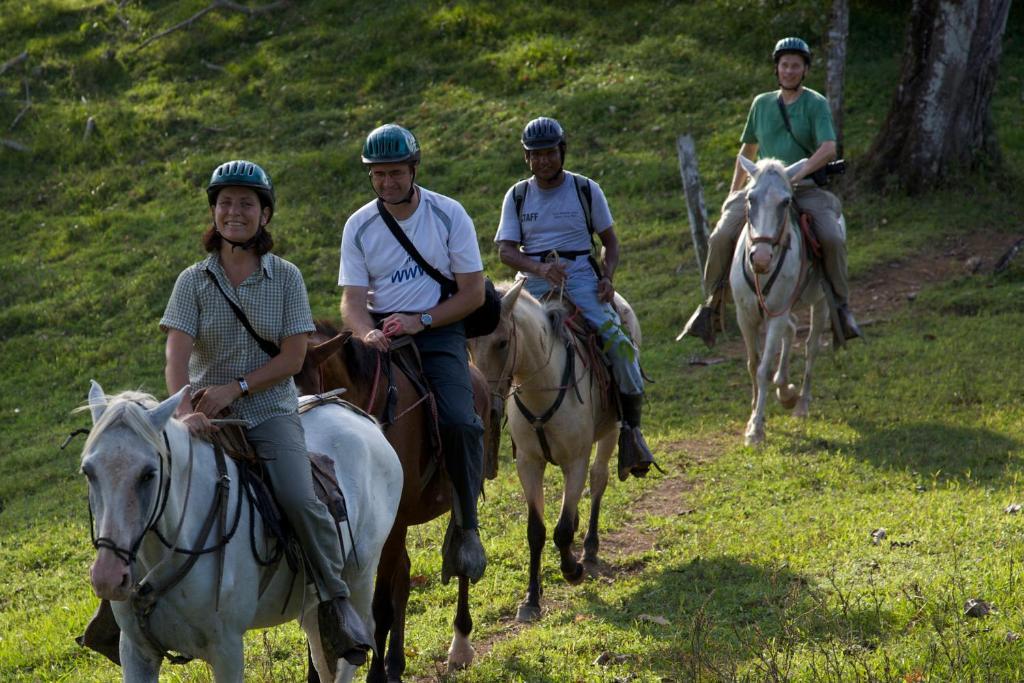 Selva Bananito Lodge Westfalia ภายนอก รูปภาพ